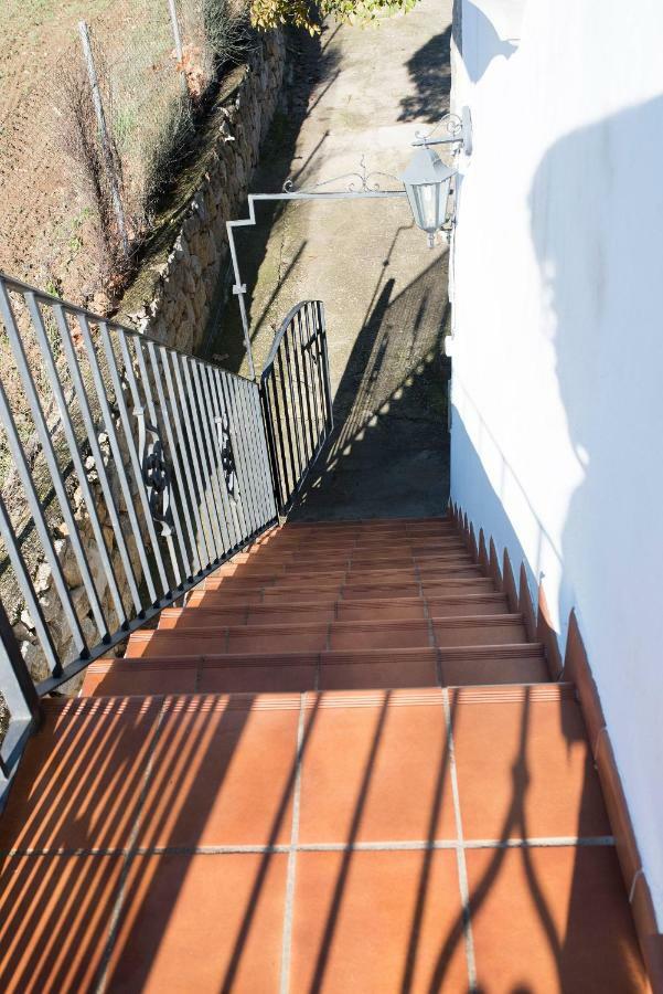 Mi Casita Guest House Ronda Eksteriør bilde